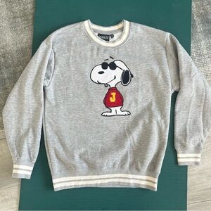 Peanuts Snoopy Joe Cool Gray Crewneck Sweatshirt Pullover Size Small